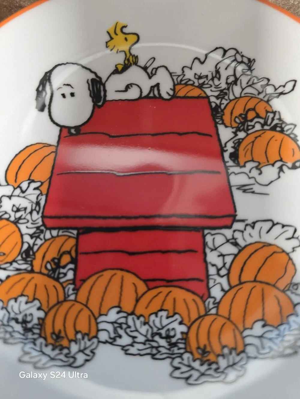 NEW 4 Peanuts Snoopy FALL * HALLOWEEN Appetizer Dessert Plates 6